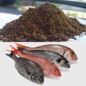 شرکت تولید پودر ماهی